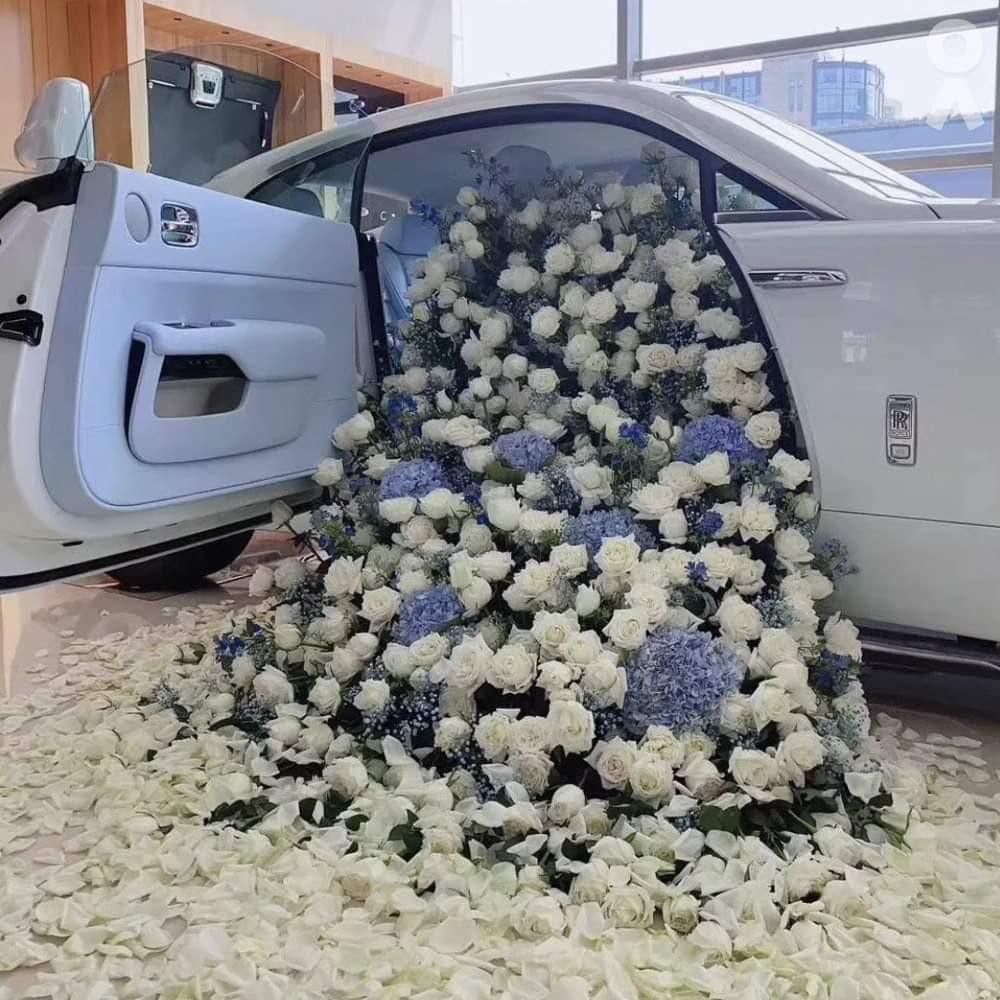 사자다 프로필