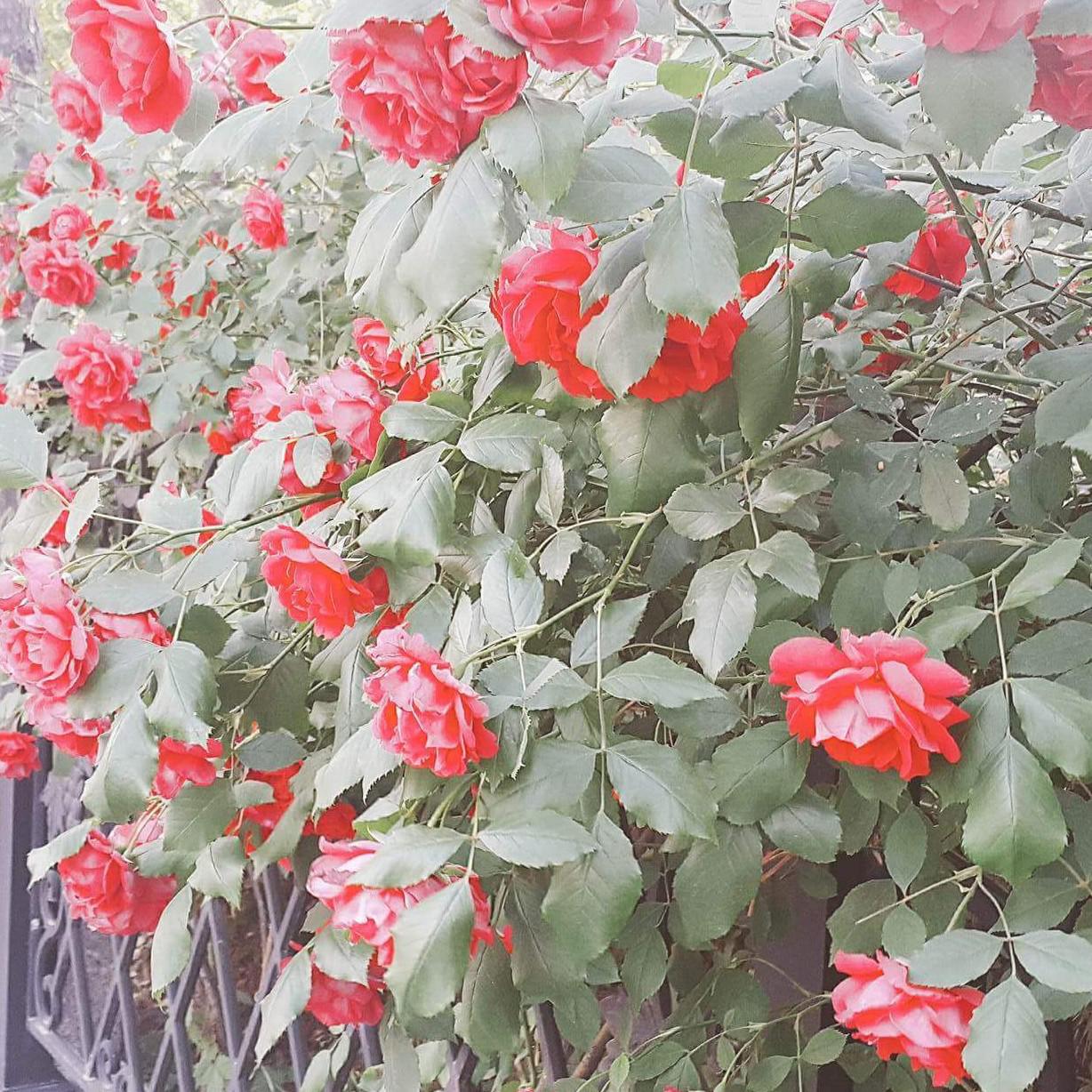 리뷰어 프로필