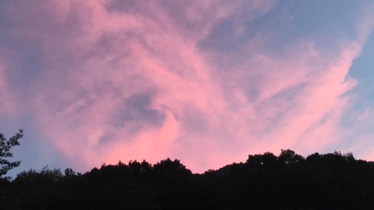 김ㅁ뮤 프로필