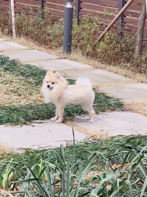 윤주영덕구 프로필