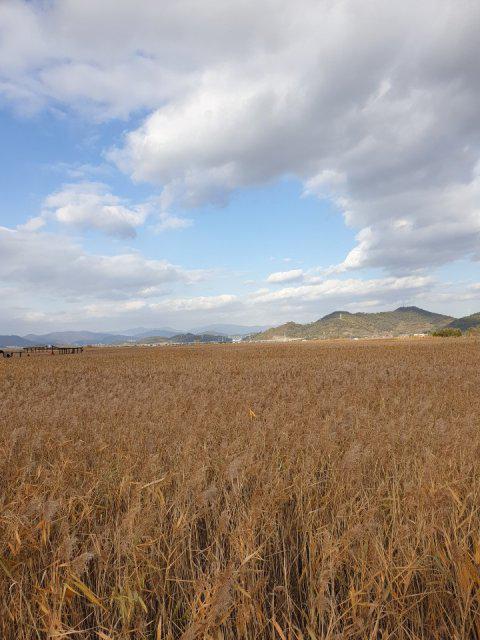 블쳉 프로필