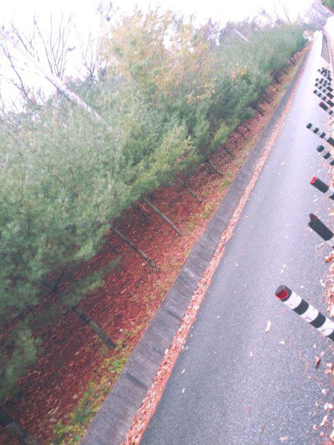 킹썸민 프로필