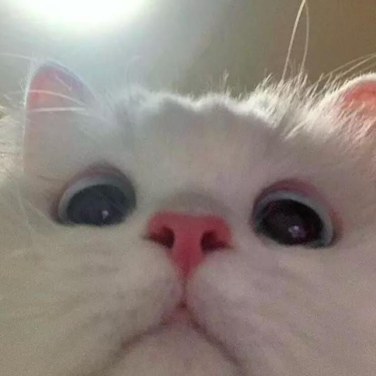 강선재 프로필