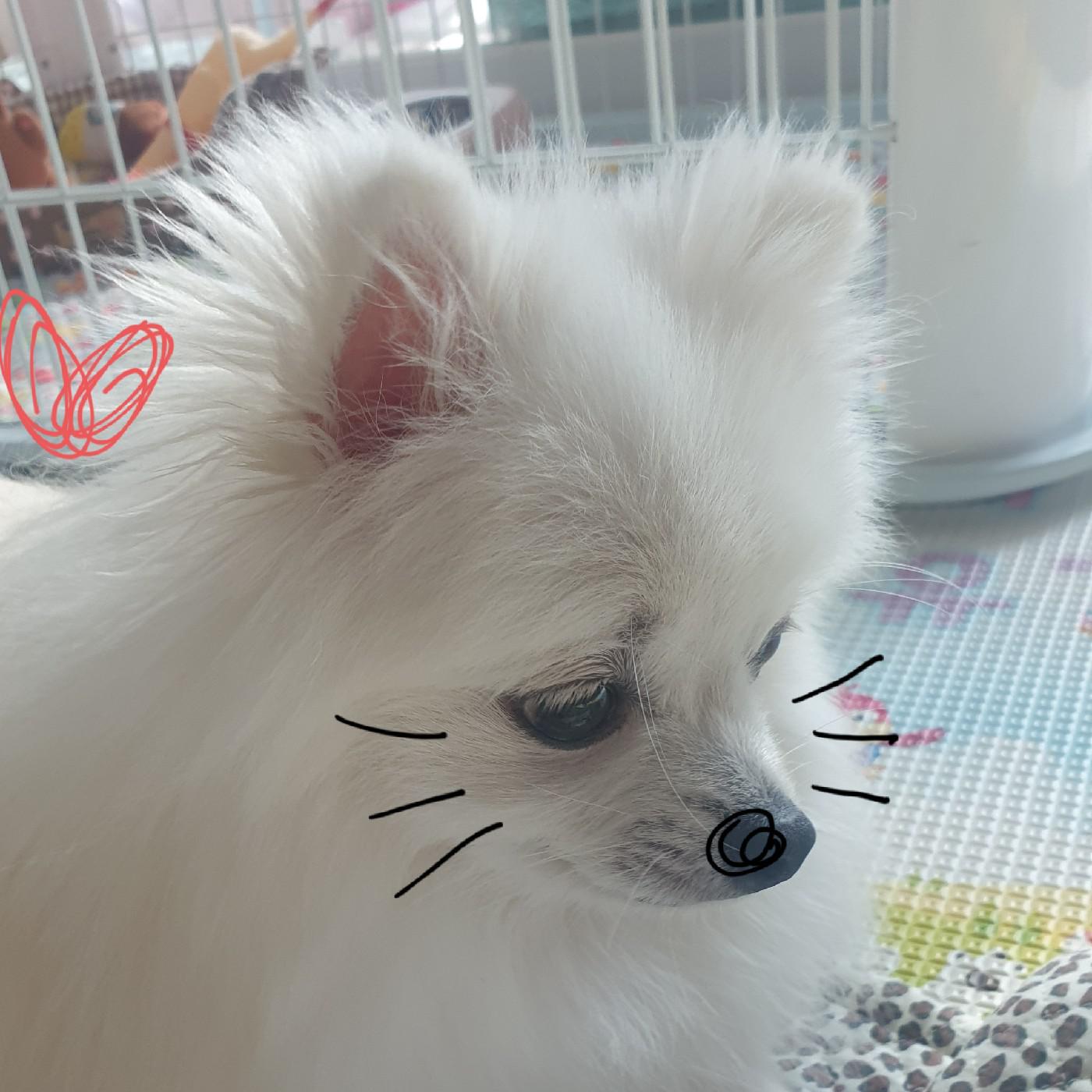 윤지:D 프로필