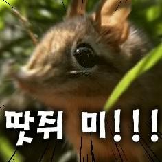 돈_ 프로필