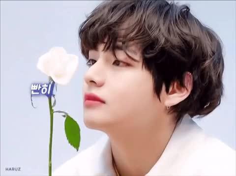 여하유 프로필