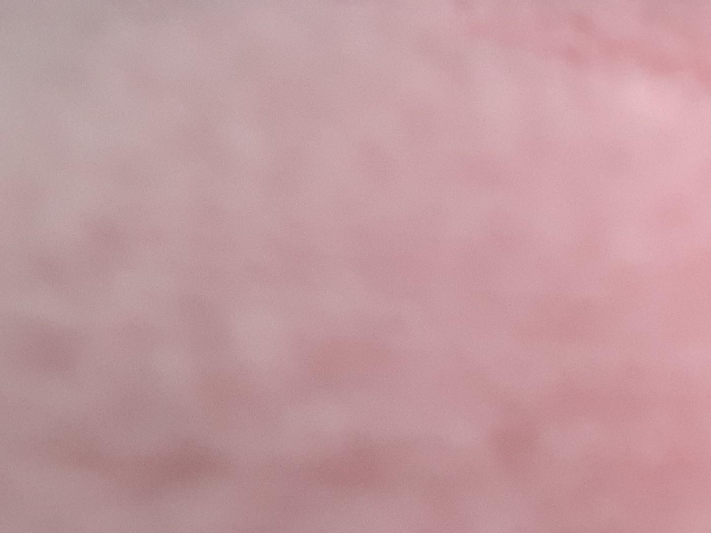 수이ㄴ 프로필