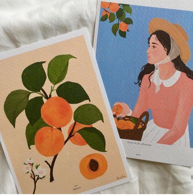 손줴 프로필
