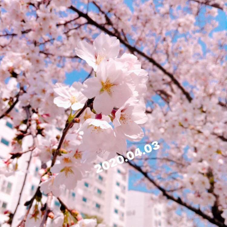 길가던여자 프로필