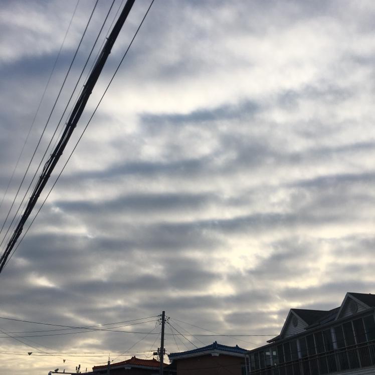 영이쀼 프로필