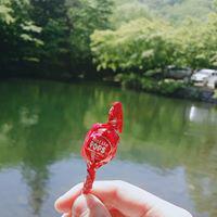 건성갈웜 프로필