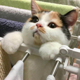금요일요일