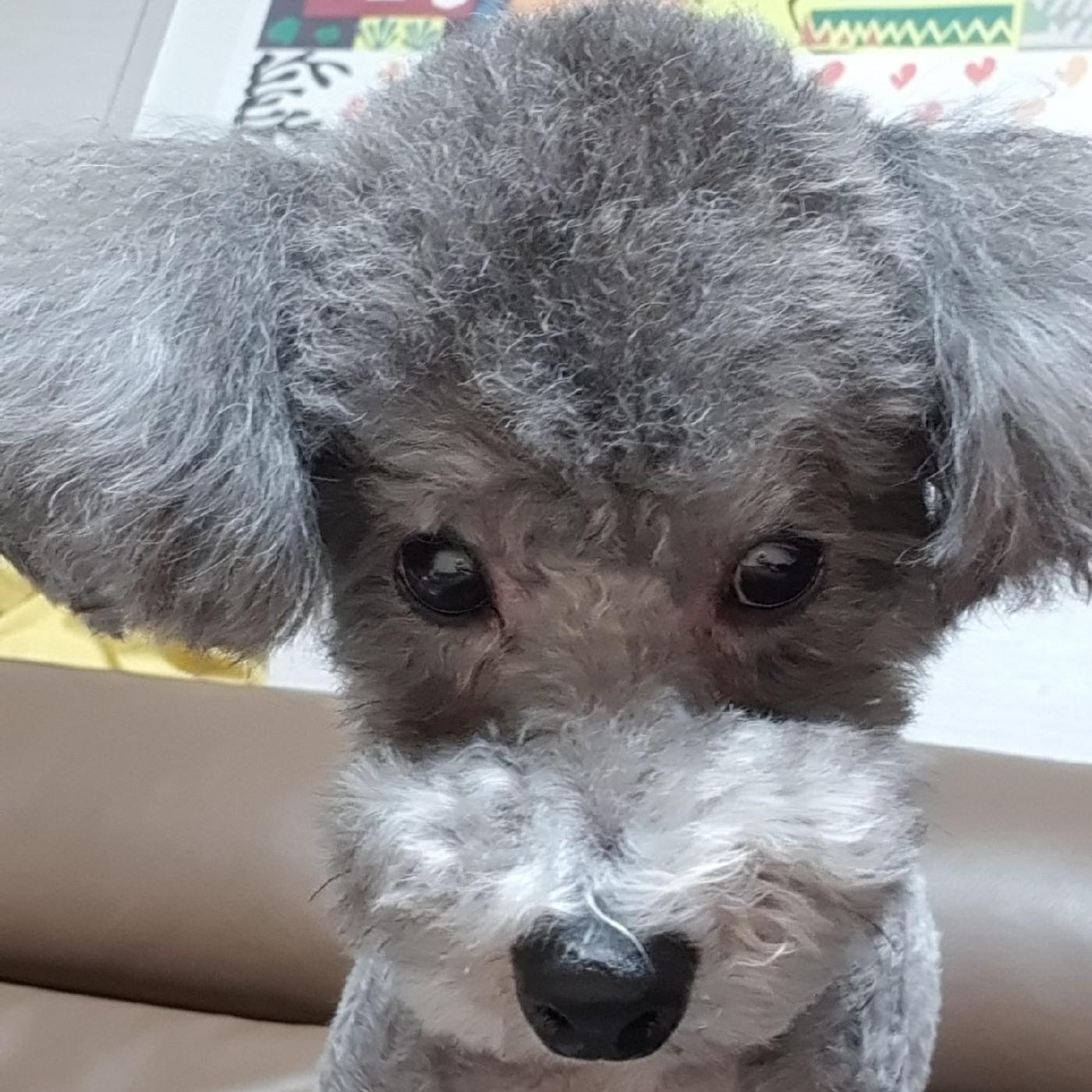 리뷰어 프로필