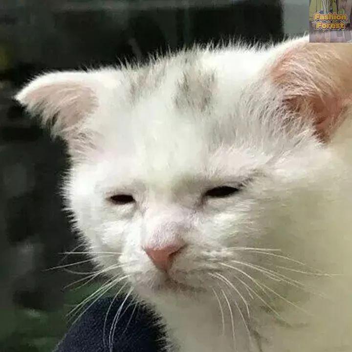 리뷰어 프로필