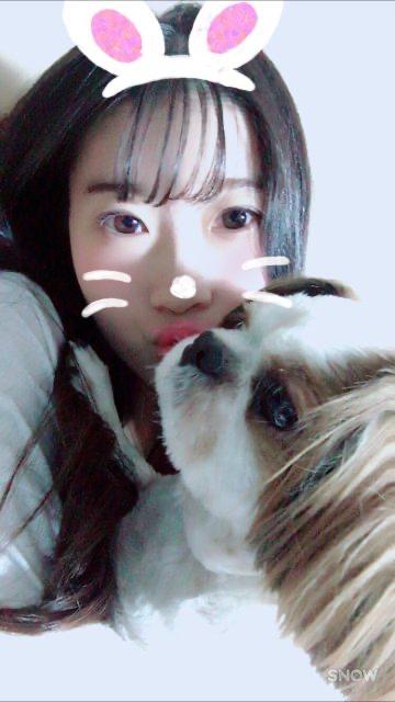 heeddubi 프로필