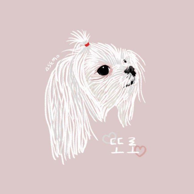 또또로7 프로필