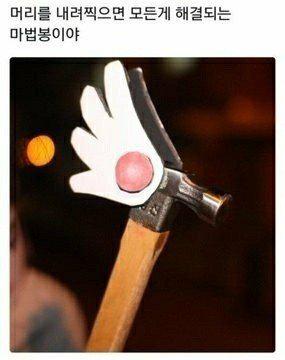 룻샤 프로필