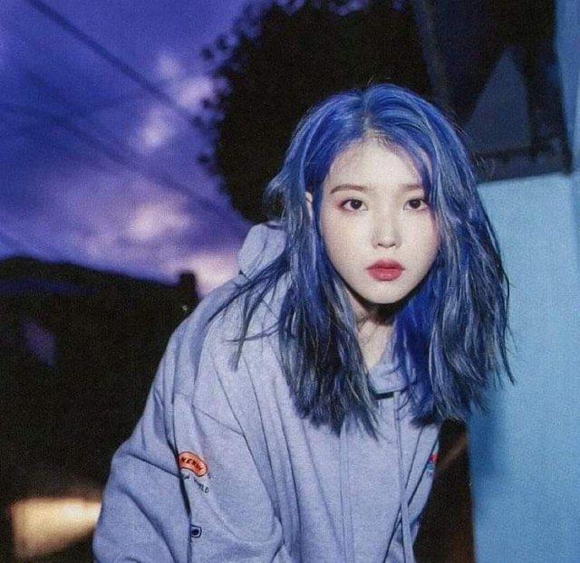 엔비미 프로필