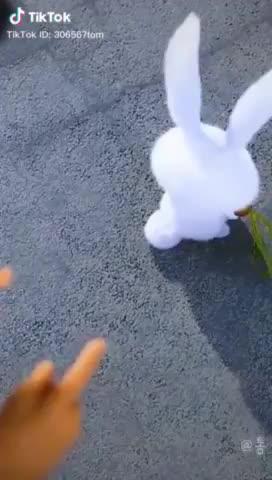 코덕다연 프로필