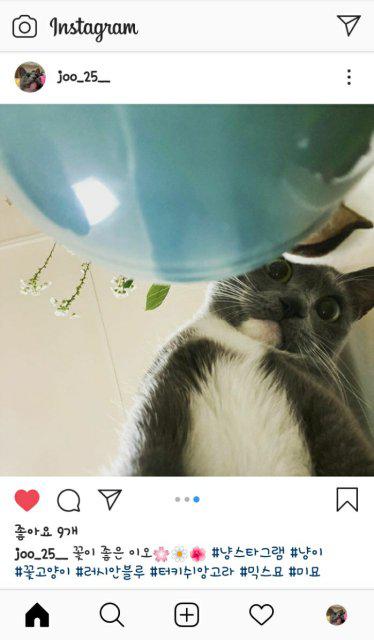 할수있어! 프로필
