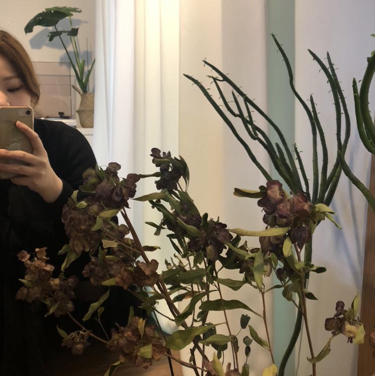 리뷰어 프로필