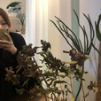 초쿠코키
