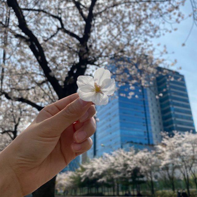김하선구구 프로필