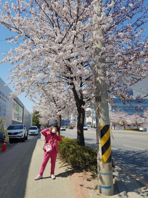 리뷰어 프로필