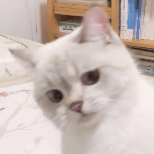 당근을흔들어주세요 프로필