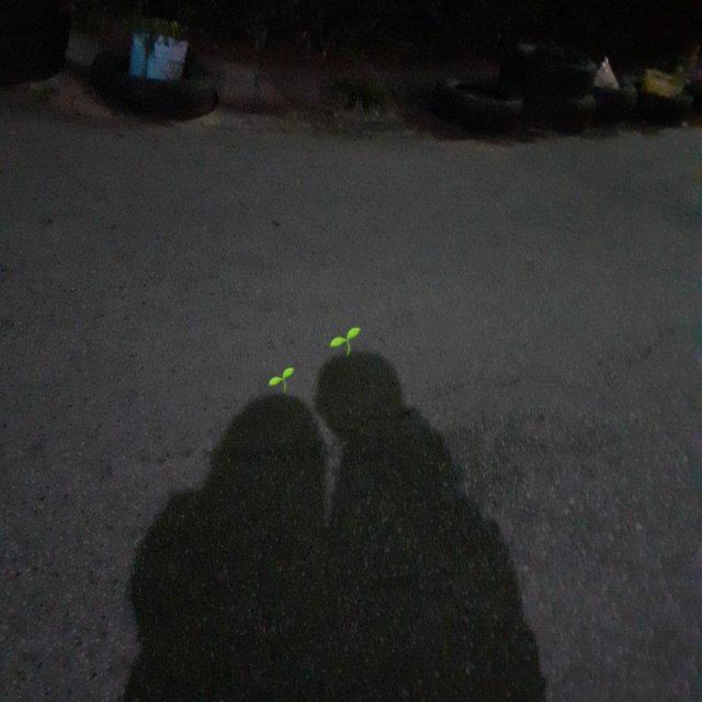 뉸ㄴ냔ㄴ뉴뉴뉸ㄴ 프로필