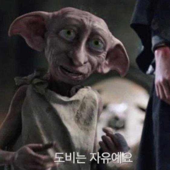 ㅇ나무늘보ㅇ 프로필