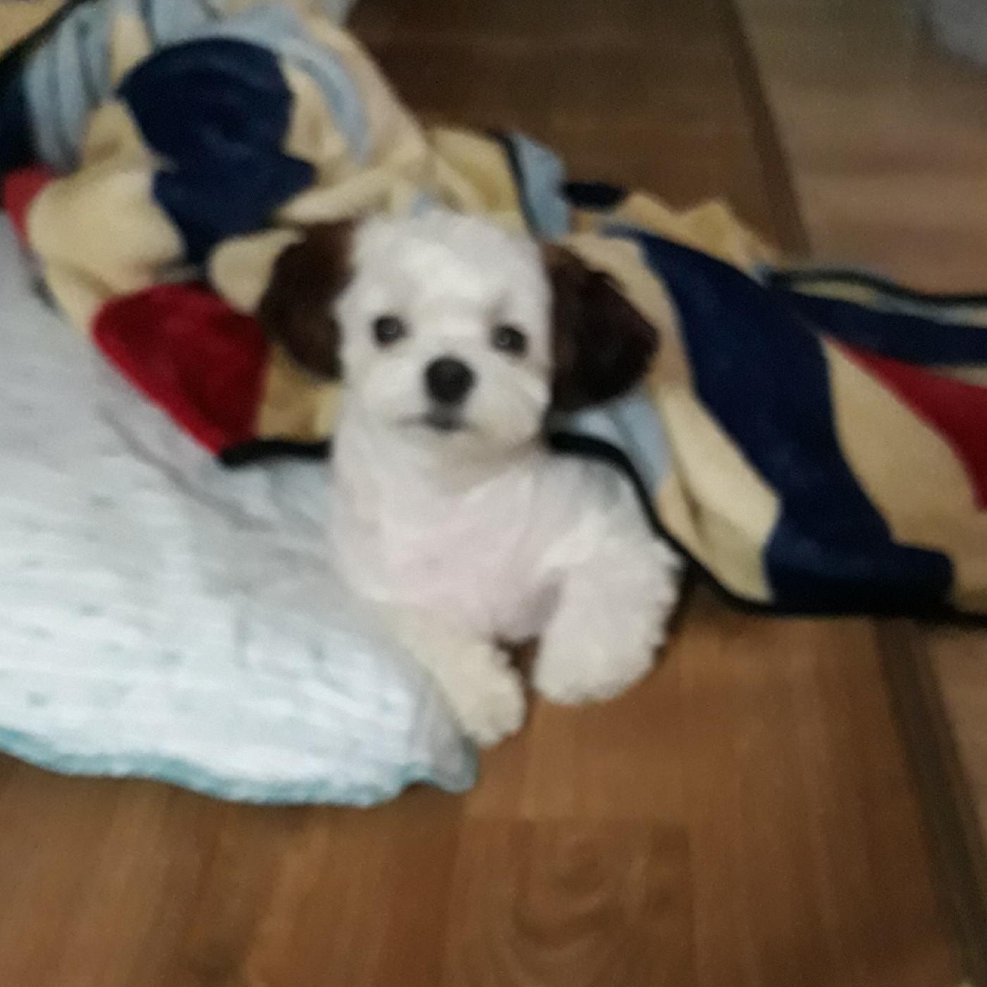 짱짱조아 프로필