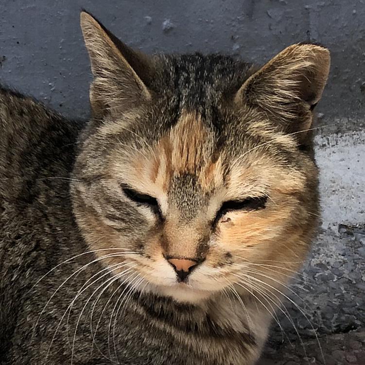 리뷰어 프로필