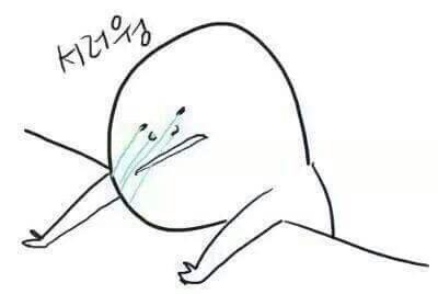 공주이나짱 프로필