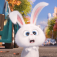 snow_tokki