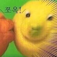 수ㄹ 프로필
