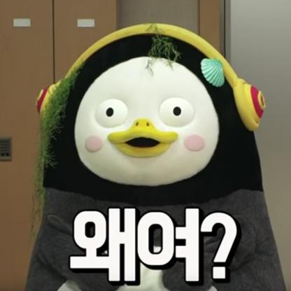 오키베리 프로필