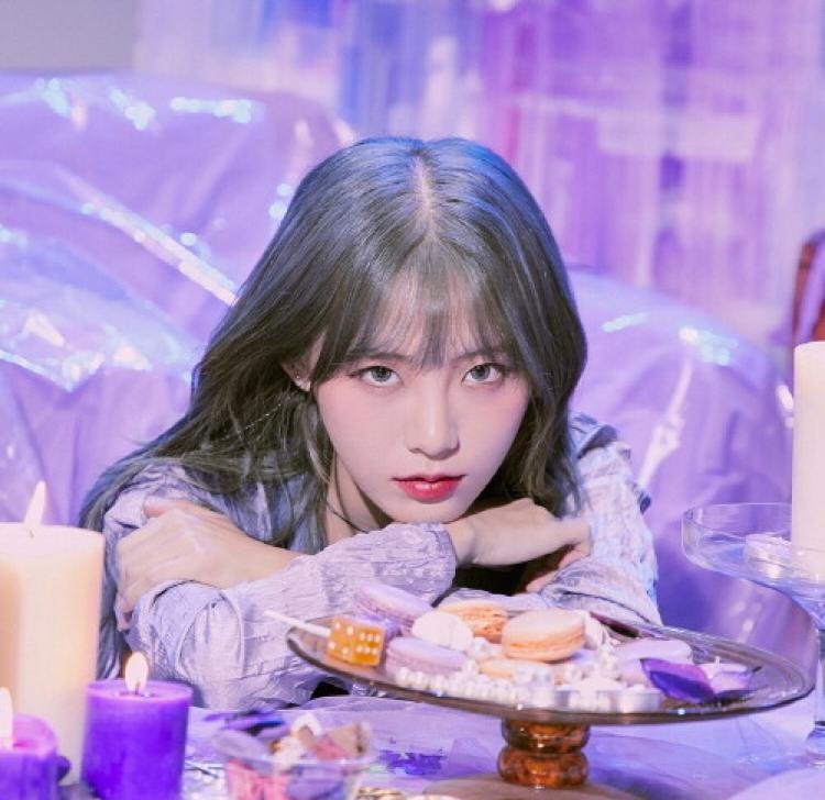 비벼먹는핫도그 프로필