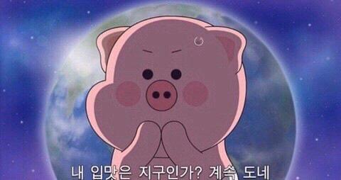 욤도 프로필
