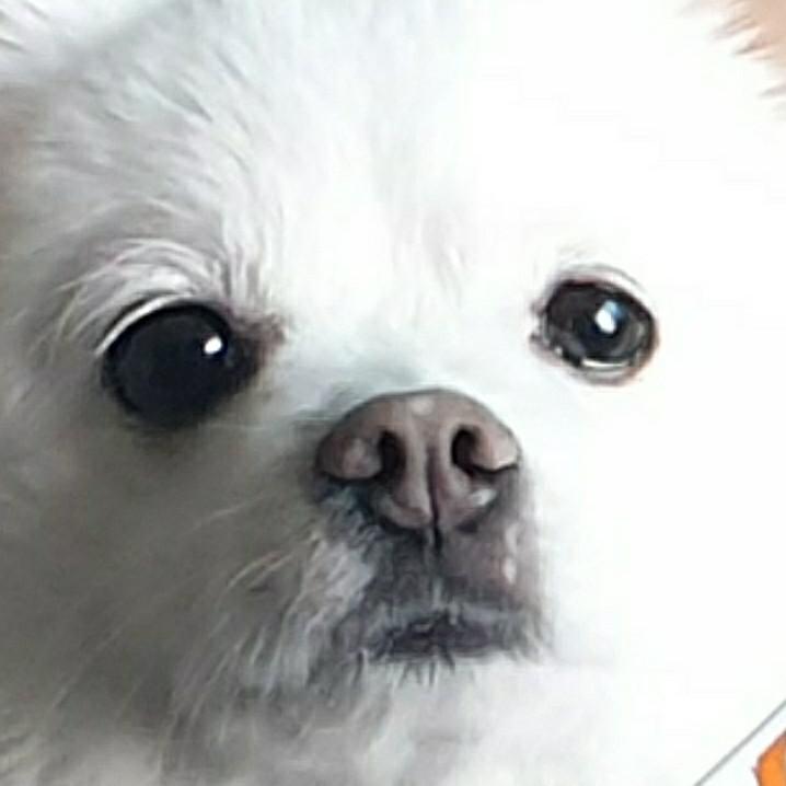 써니94 프로필