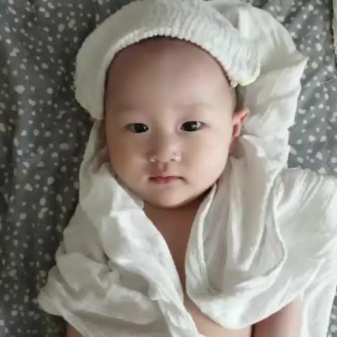 라이온이다 프로필