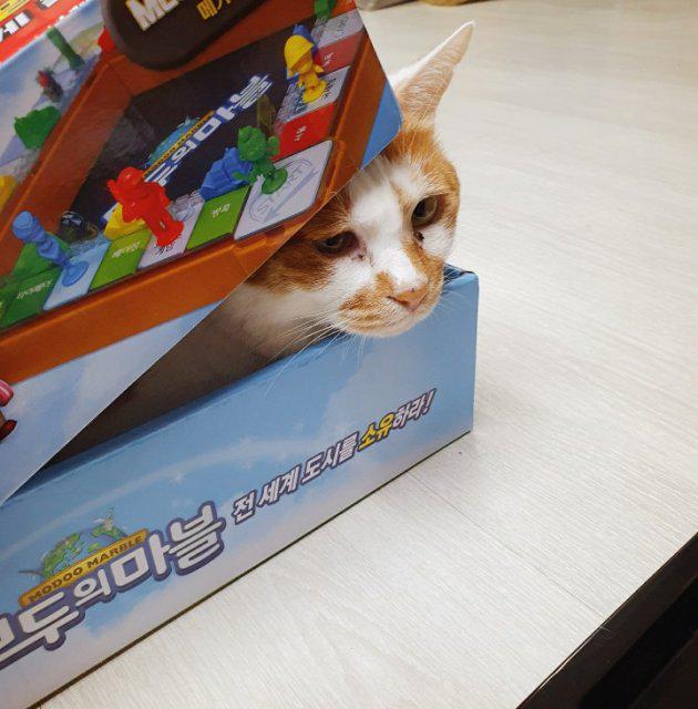 이진홍 프로필