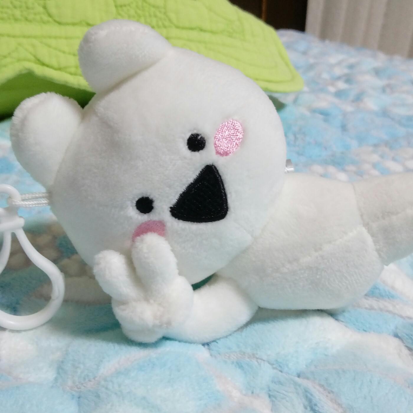 다음기니 프로필