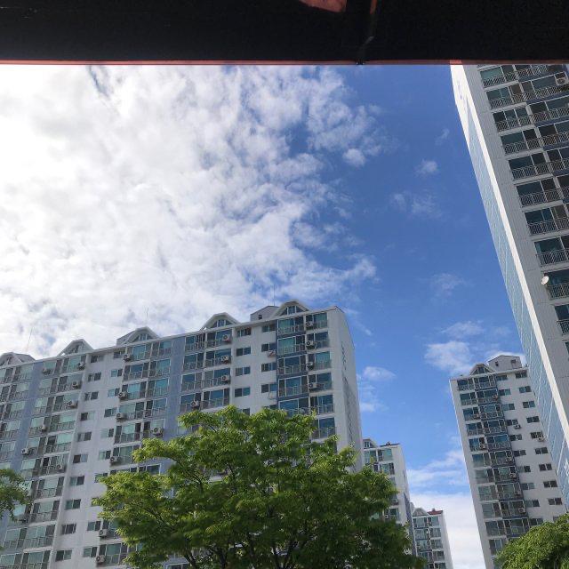 daisy__ 프로필