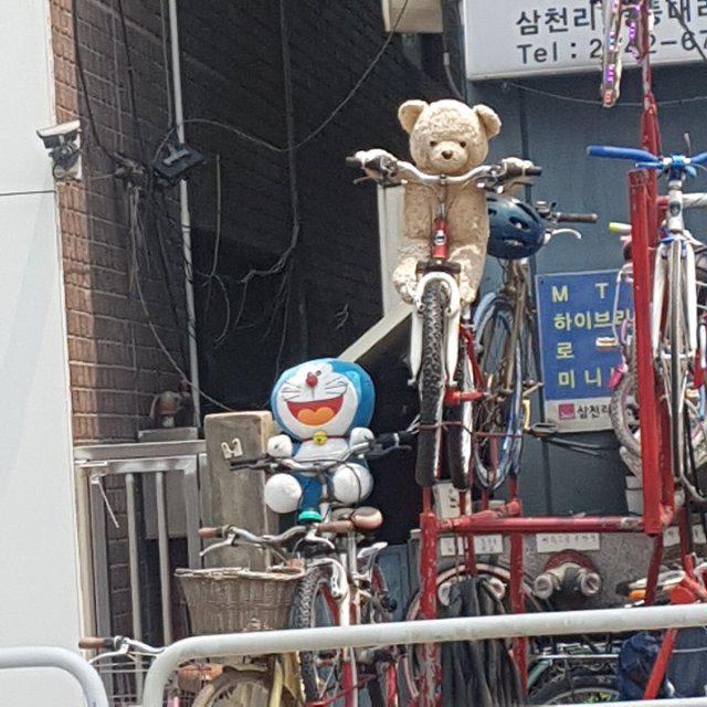 탴훈 프로필