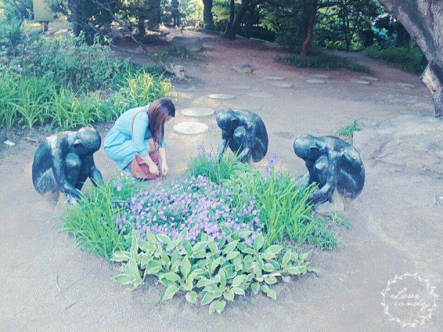 뚜꾸미 프로필