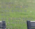 아롱이가앙앙