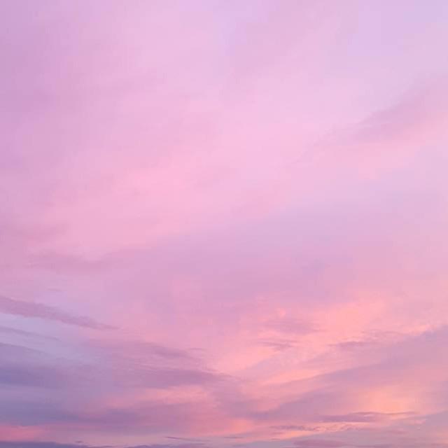 진잔 프로필