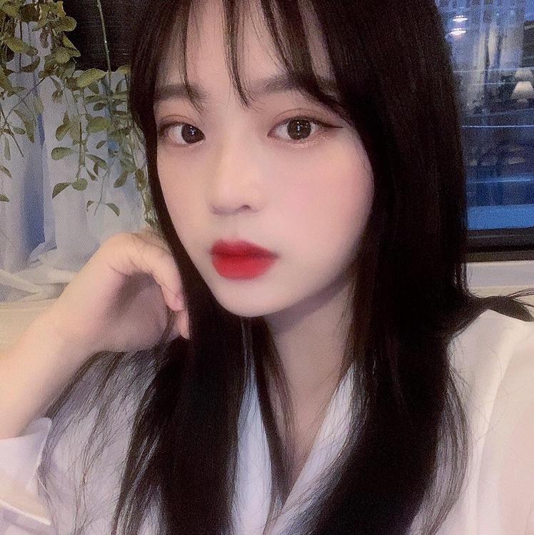 횬진진 프로필