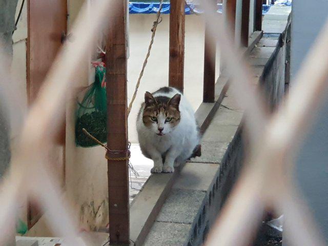 르으밍 프로필
